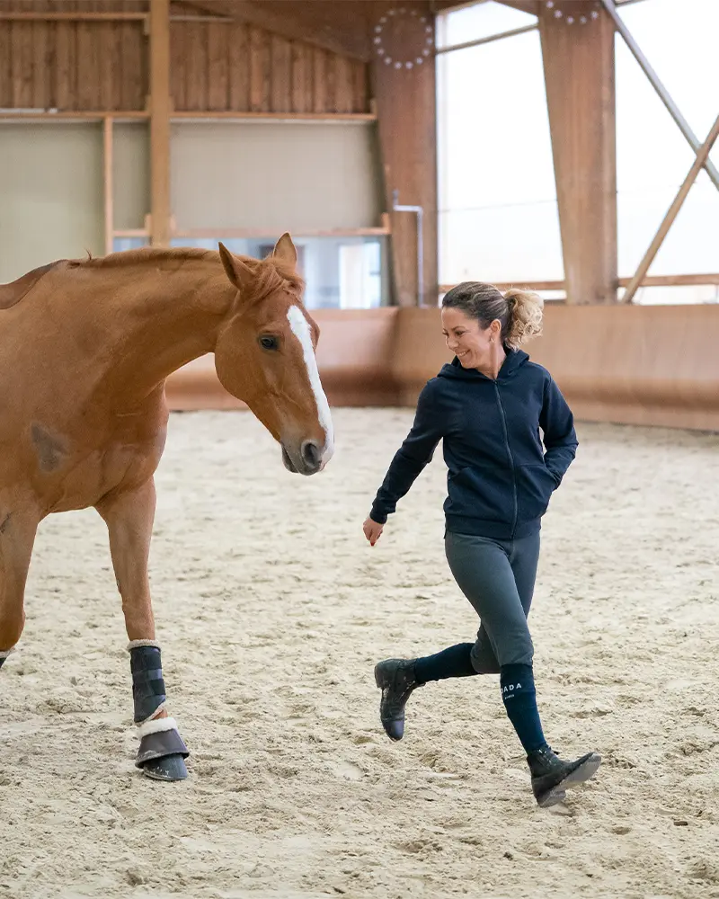 Dexter - Veste d'équitation softshell à capuche unisexe - Image 19