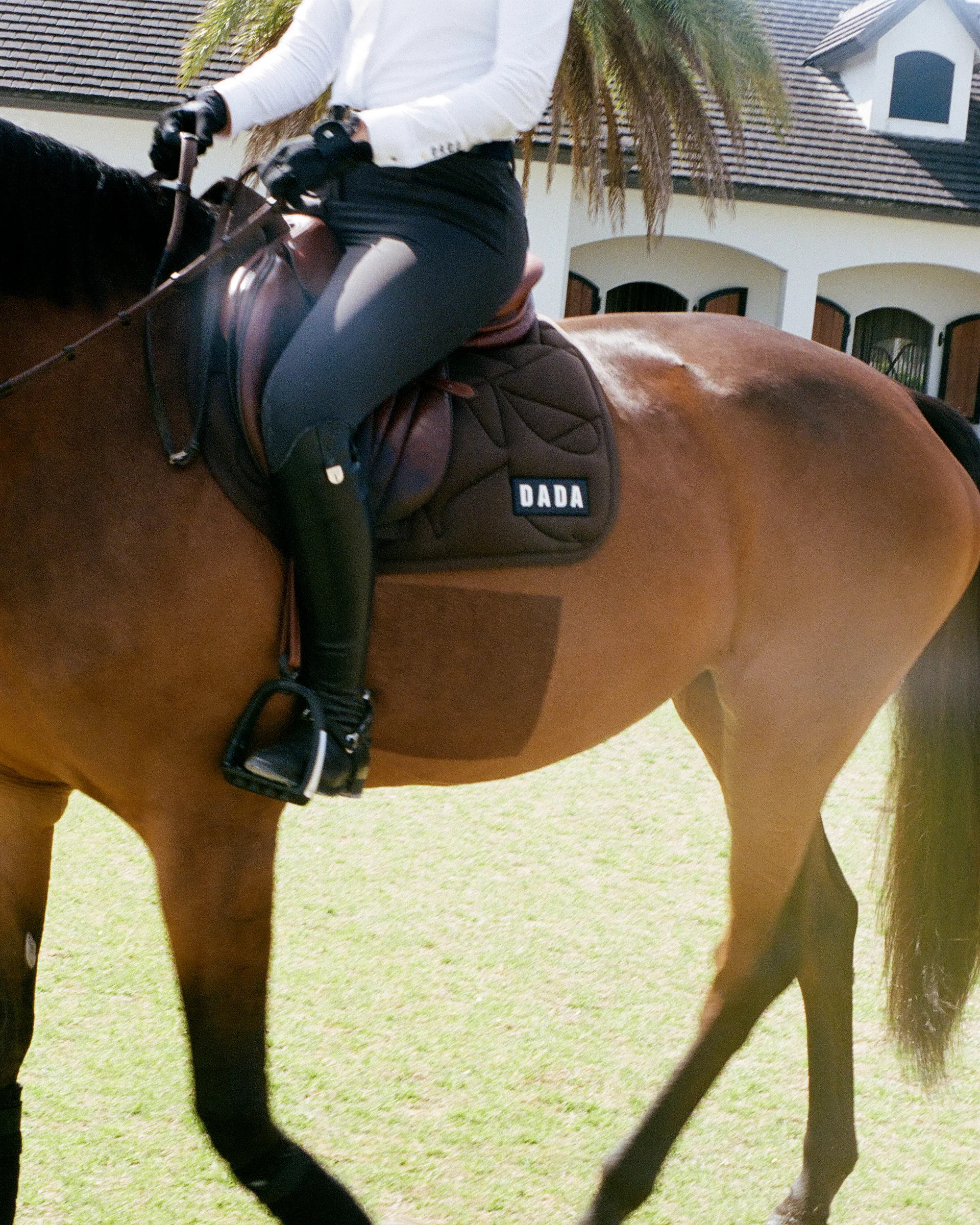 Fit for fun - Tapis de selle pour cheval - Image 10